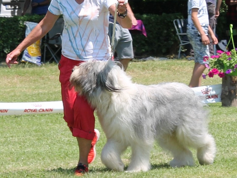 2xCACIB Ploiesti (RO)